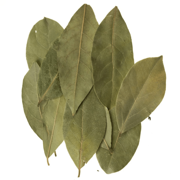 Wholesale Bay Leaf Supplier in Saudi Arabia | Taraf Food Company