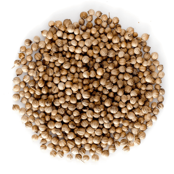 Coriander Seeds