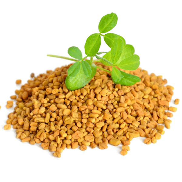 fenugreek