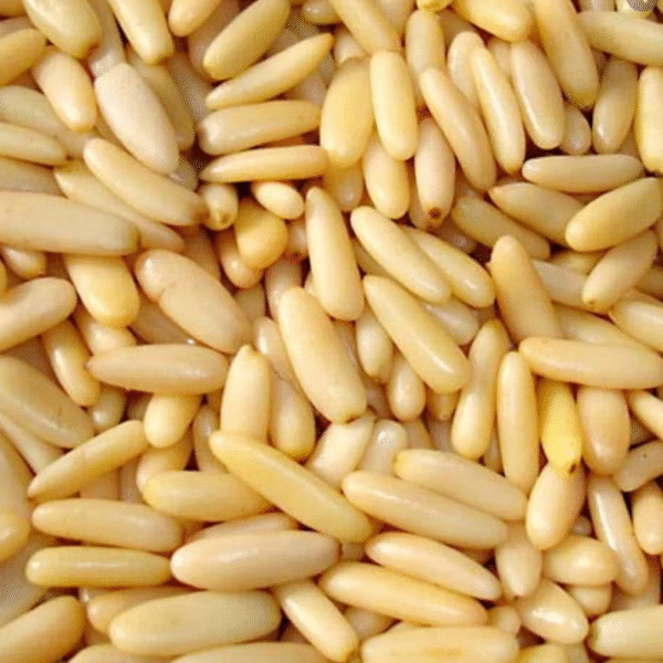 Pin nuts buy in saudi arabia