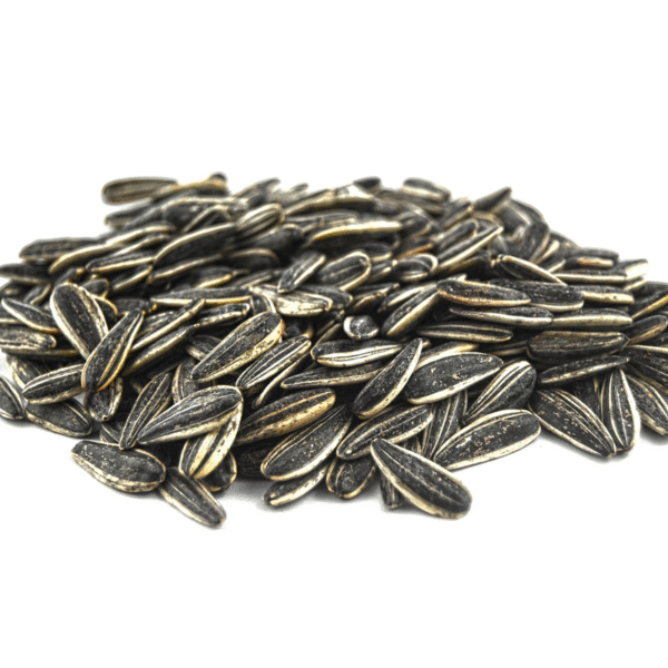 Sunflower Seeds
