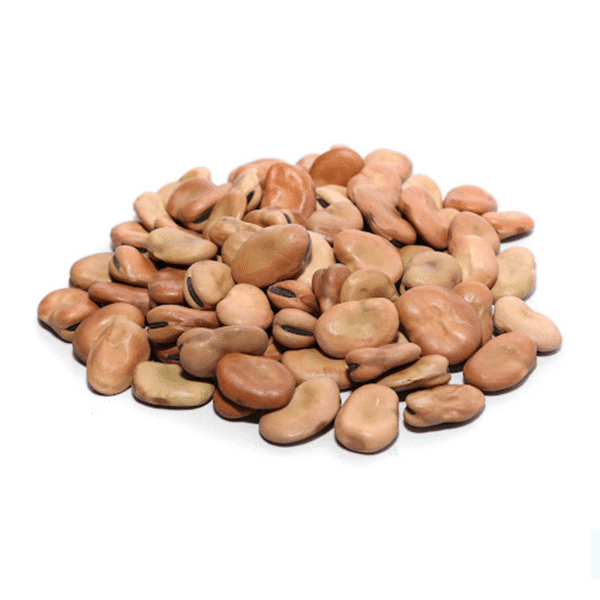 Whole fava beans in 18 kg and 15 kg wholesale bags – Taraf Food Company